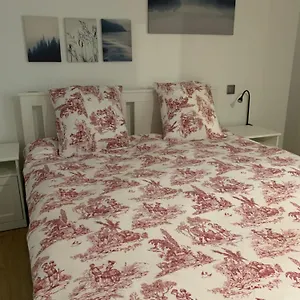 magnifique-appartement-t2-en-centre-village.midi-pyreneeshotels.com/